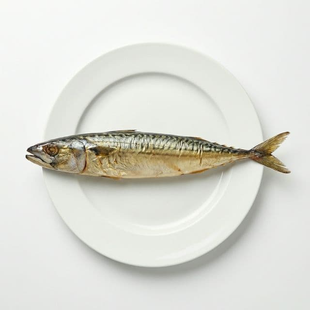 Dimljena Skuša (Hladno dimljena)